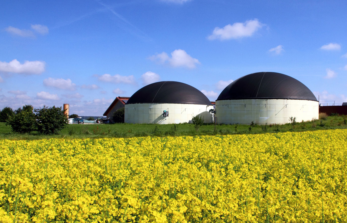 Biogas: tutte le novità